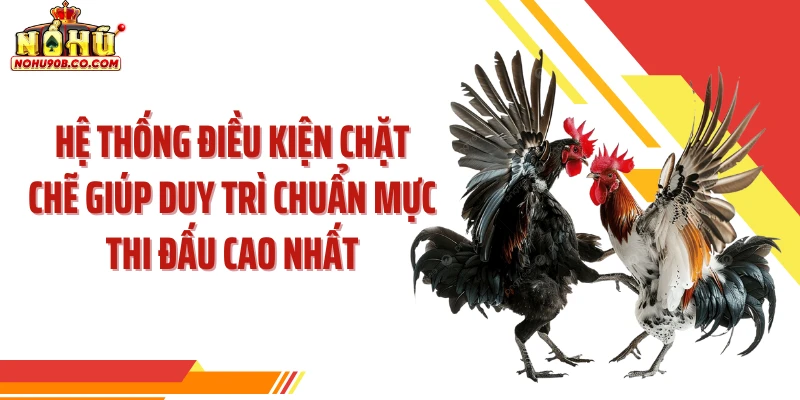 Hệ thống điều kiện chặt chẽ giúp duy trì chuẩn mực thi đấu cao nhất