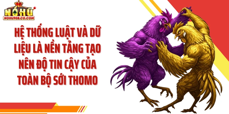Hệ thống luật và dữ liệu là nền tảng tạo nên độ tin cậy của toàn bộ sới Thomo