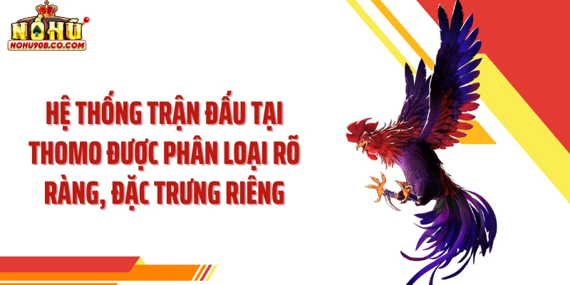 Hệ thống trận đấu tại Thomo được phân loại rõ ràng, đặc trưng riêng