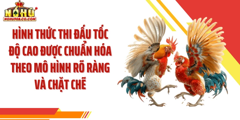 Hình thức thi đấu tốc độ cao được chuẩn hóa theo mô hình rõ ràng và chặt chẽ