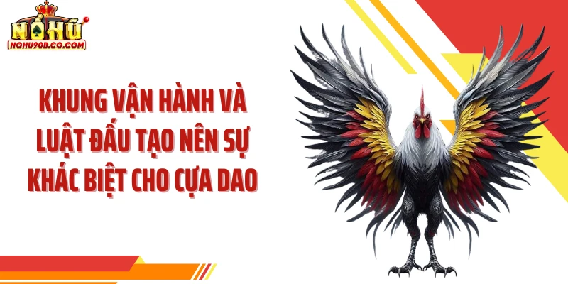 Khung vận hành và luật đấu tạo nên sự khác biệt cho cựa dao