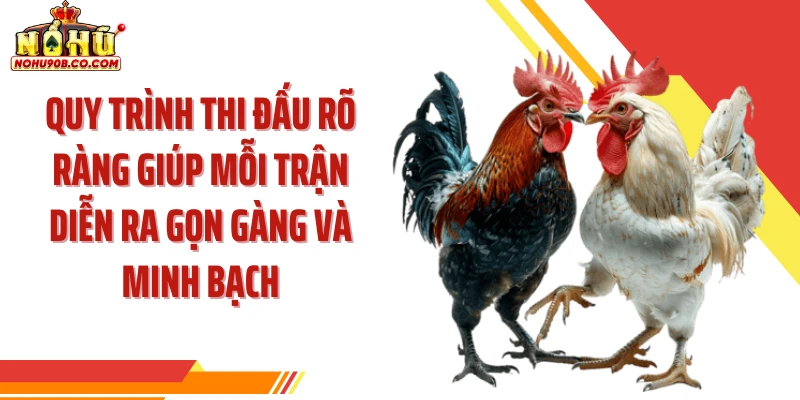 Quy trình thi đấu rõ ràng giúp mỗi trận diễn ra gọn gàng và minh bạch